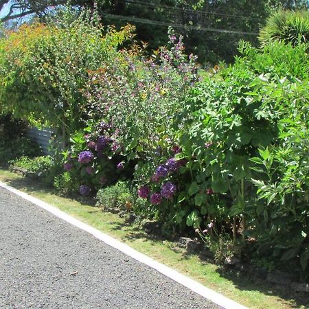 Appartamento Cozy Haven - Waihi Esterno foto