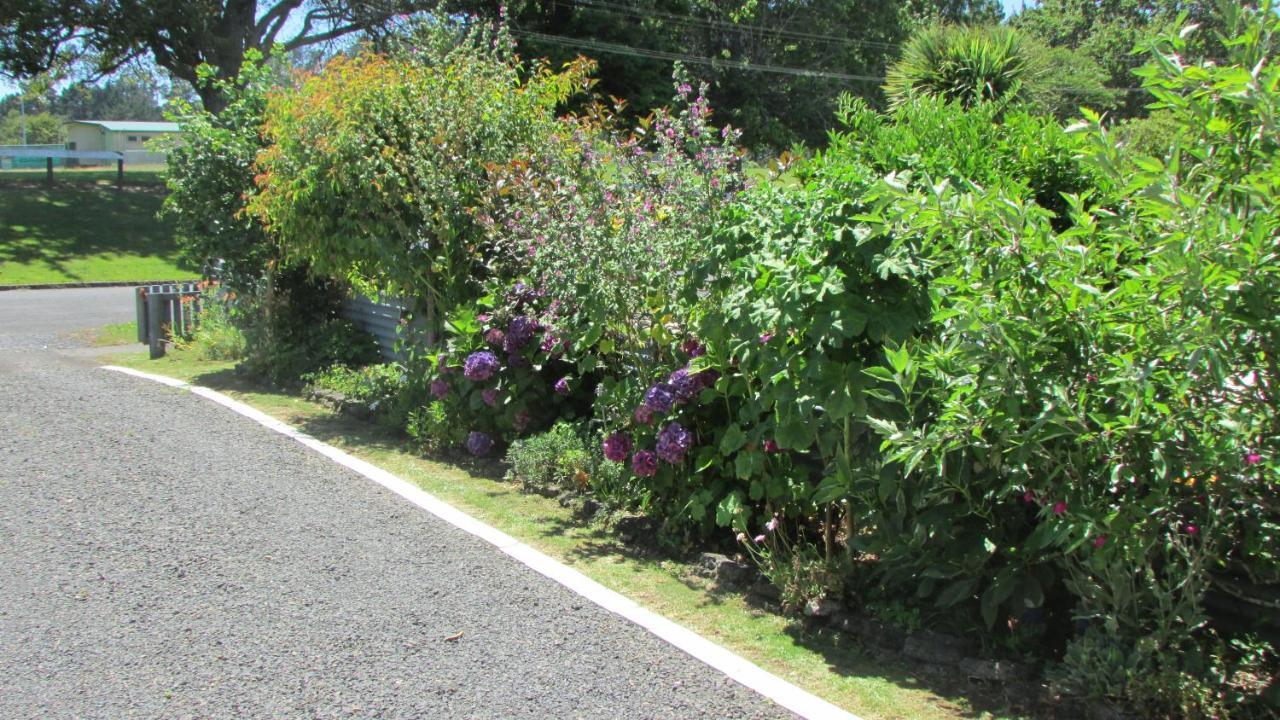 Appartamento Cozy Haven - Waihi Esterno foto