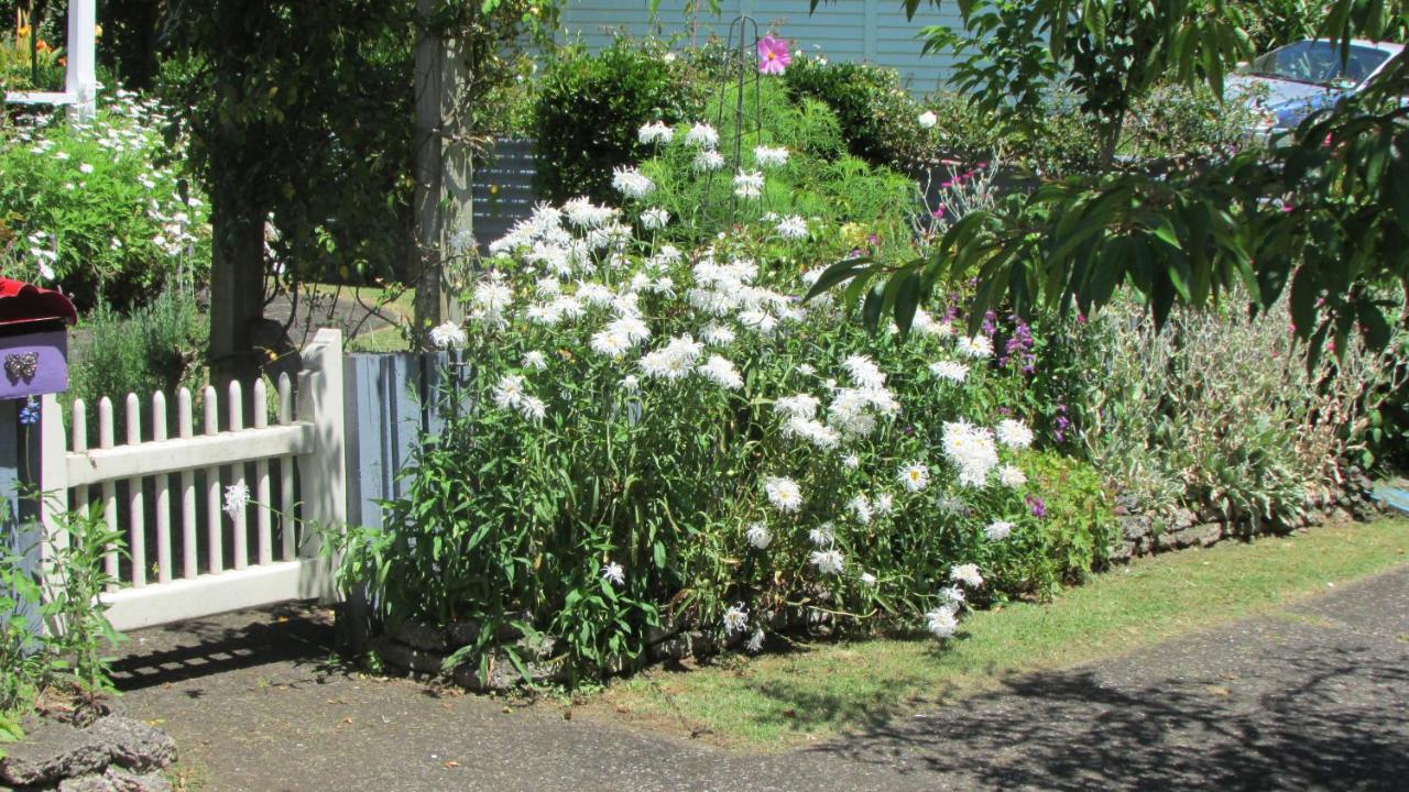 Appartamento Cozy Haven - Waihi Esterno foto