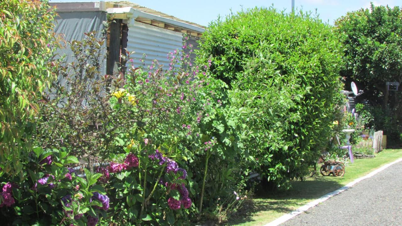 Appartamento Cozy Haven - Waihi Esterno foto